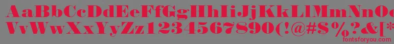 Falstaffmtstd Font – Red Fonts on Gray Background