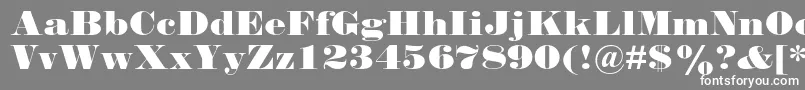 Falstaffmtstd Font – White Fonts on Gray Background