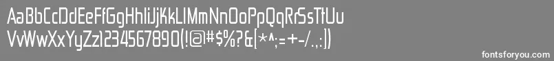 ZektoncdRegular Font – White Fonts on Gray Background