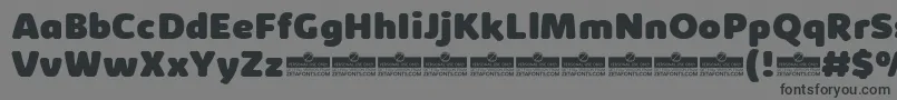 KabrioAbarthHeavyTrial Font – Black Fonts on Gray Background