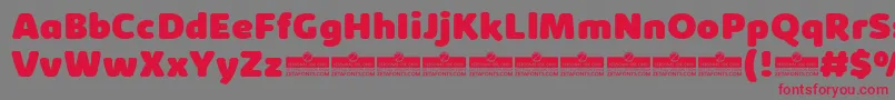 KabrioAbarthHeavyTrial Font – Red Fonts on Gray Background