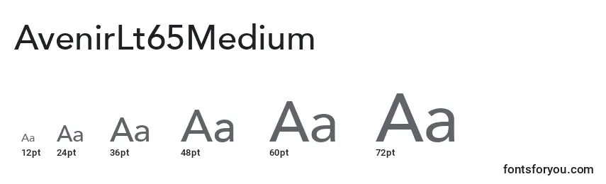 AvenirLt65Medium Font Sizes