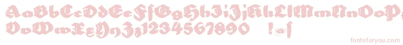 Bigella Font – Pink Fonts on White Background
