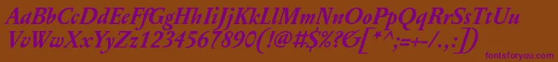 PentagrafOtBoldItalic Font – Purple Fonts on Brown Background