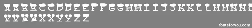 StreetCowboysRegular Font – White Fonts on Gray Background