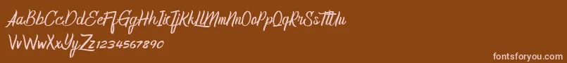 HomerunDemo Font – Pink Fonts on Brown Background