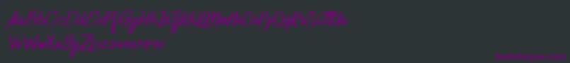 HomerunDemo Font – Purple Fonts on Black Background