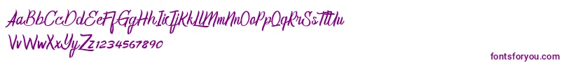 HomerunDemo Font – Purple Fonts on White Background