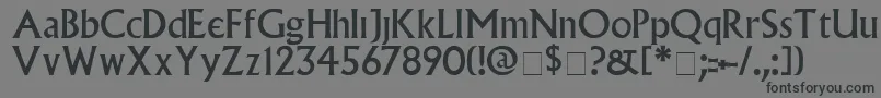VillagePlain Font – Black Fonts on Gray Background