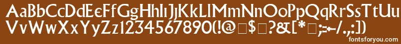 VillagePlain Font – White Fonts on Brown Background