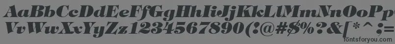 TiffanyHeavyItalicBt Font – Black Fonts on Gray Background