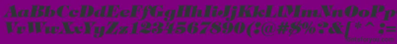 TiffanyHeavyItalicBt-Schriftart – Schwarze Schriften auf violettem Hintergrund
