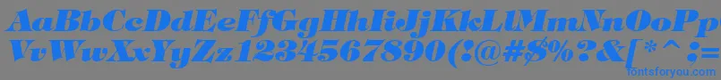 Шрифт TiffanyHeavyItalicBt – синие шрифты на сером фоне