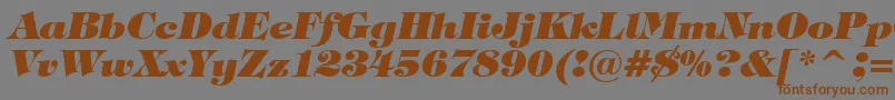 Шрифт TiffanyHeavyItalicBt – коричневые шрифты на сером фоне