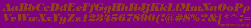 TiffanyHeavyItalicBt-fontti – ruskeat fontit violetilla taustalla