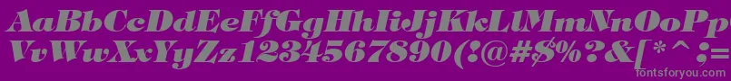 TiffanyHeavyItalicBt-Schriftart – Graue Schriften auf violettem Hintergrund