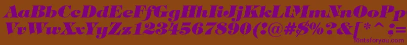 Шрифт TiffanyHeavyItalicBt – фиолетовые шрифты на коричневом фоне