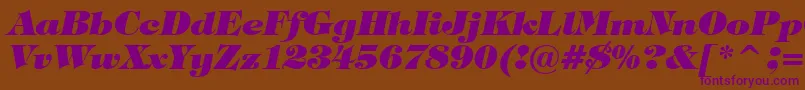 TiffanyHeavyItalicBt Font – Purple Fonts on Brown Background
