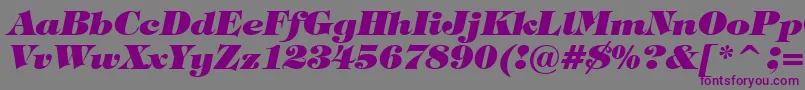 フォントTiffanyHeavyItalicBt – 紫色のフォント、灰色の背景