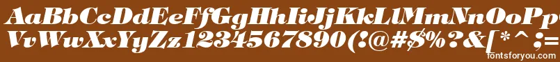 Шрифт TiffanyHeavyItalicBt – белые шрифты на коричневом фоне