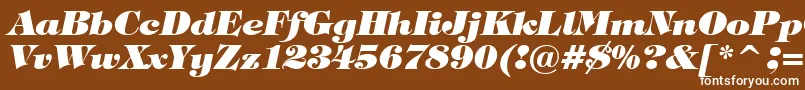 TiffanyHeavyItalicBt Font – White Fonts on Brown Background