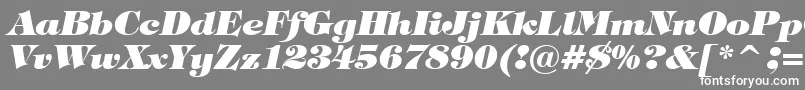 TiffanyHeavyItalicBt-Schriftart – Weiße Schriften auf grauem Hintergrund