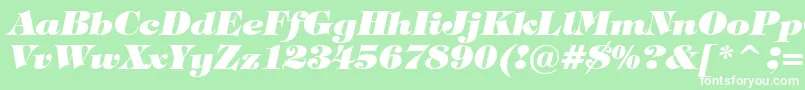 Czcionka TiffanyHeavyItalicBt – białe czcionki na zielonym tle