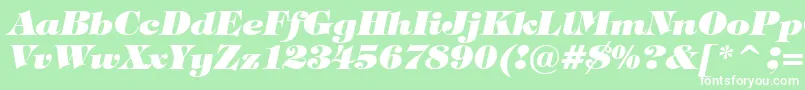 TiffanyHeavyItalicBt Font – White Fonts on Green Background
