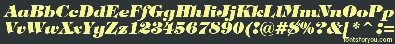 TiffanyHeavyItalicBt Font – Yellow Fonts on Black Background