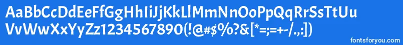 フォントAcmeRegular – 青い背景に白い文字