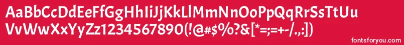 AcmeRegular Font – White Fonts on Red Background