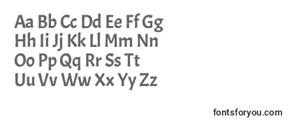 AcmeRegular Font