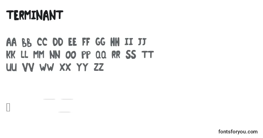 Czcionka Terminant – alfabet, cyfry, specjalne znaki
