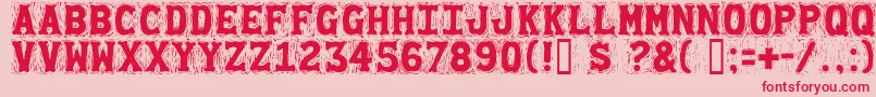 Gommogra Font – Red Fonts on Pink Background
