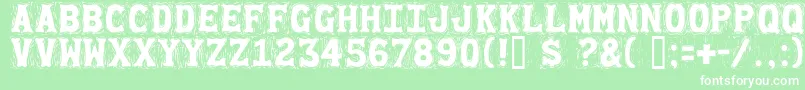 Gommogra Font – White Fonts on Green Background