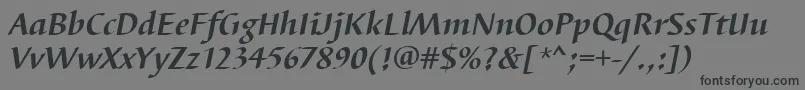 BarbedortBoldItalic Font – Black Fonts on Gray Background