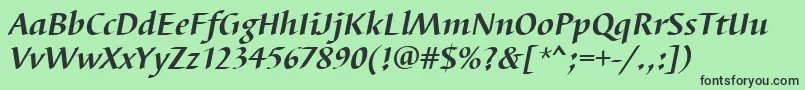 BarbedortBoldItalic Font – Black Fonts on Green Background