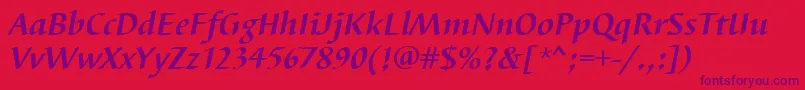 BarbedortBoldItalic Font – Purple Fonts on Red Background