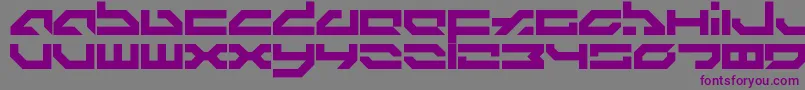Ldr8 Font – Purple Fonts on Gray Background