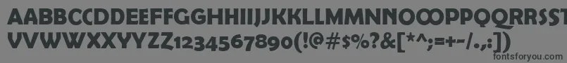 BerlinsansDemiexpert Font – Black Fonts on Gray Background