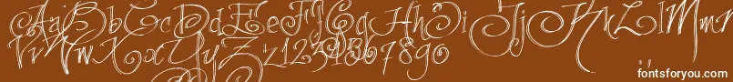 Fpenstrial Font – White Fonts on Brown Background