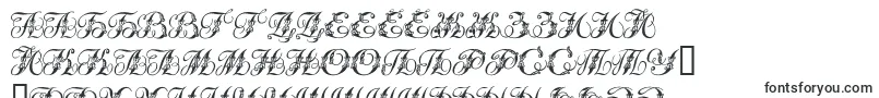 Tchekhonin2-fontti – venäjän fontit