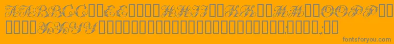 Tchekhonin2 Font – Gray Fonts on Orange Background