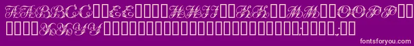 Tchekhonin2 Font – Pink Fonts on Purple Background