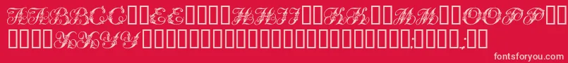 Tchekhonin2 Font – Pink Fonts on Red Background