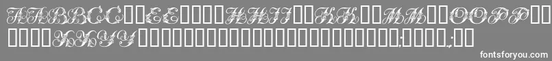 Tchekhonin2 Font – White Fonts on Gray Background