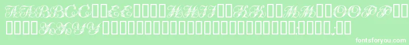 More about Tchekhonin2 Font Tchekhonin2 Font – White Fonts on Green Background
