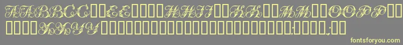 Tchekhonin2 Font – Yellow Fonts on Gray Background