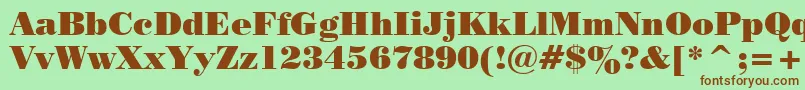 Tt0129c Font – Brown Fonts on Green Background