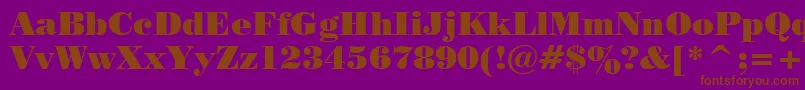 Tt0129c Font – Brown Fonts on Purple Background